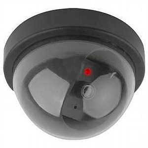 ����� ����� ������� ���� "���� ����" (����� Dummy)