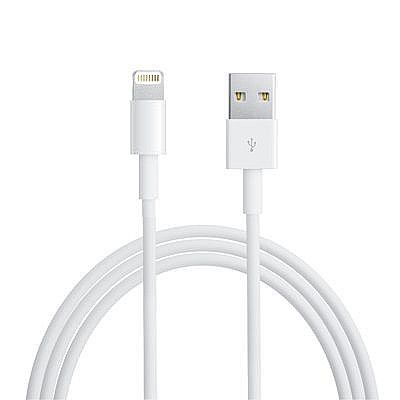��� ����� ������ + ����� ����� ���� Apple �� ����� Lightning (���� ���� 1 ���)